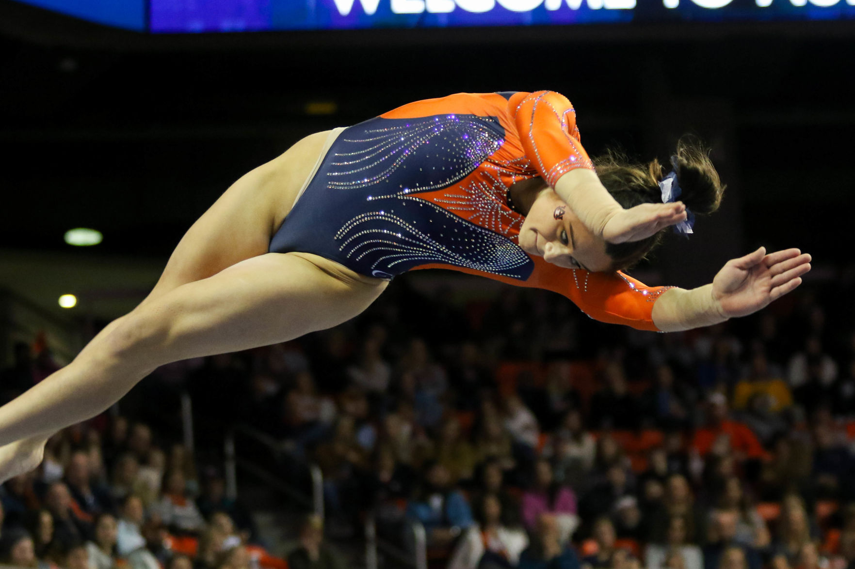 Auburn vs. Kentucky gymnastics